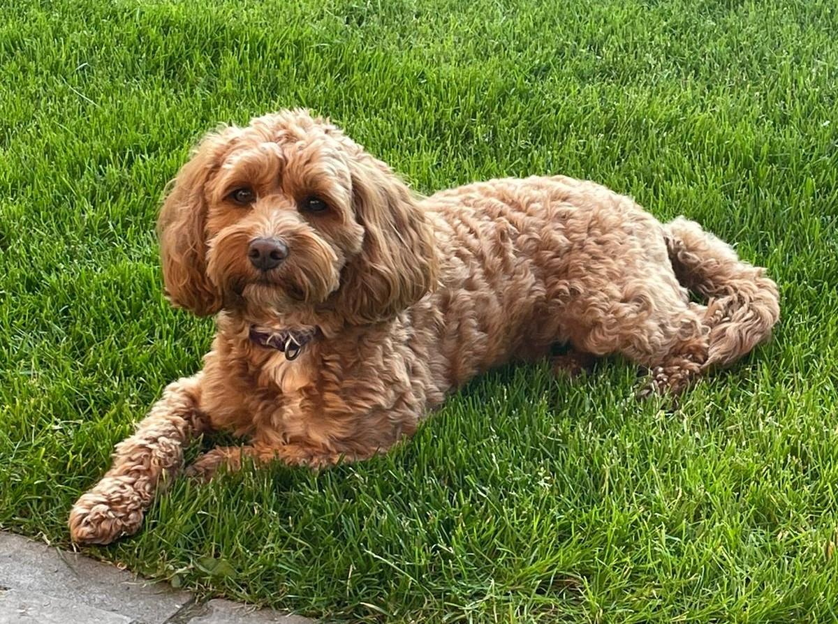 Most of the student's favourite staff member!